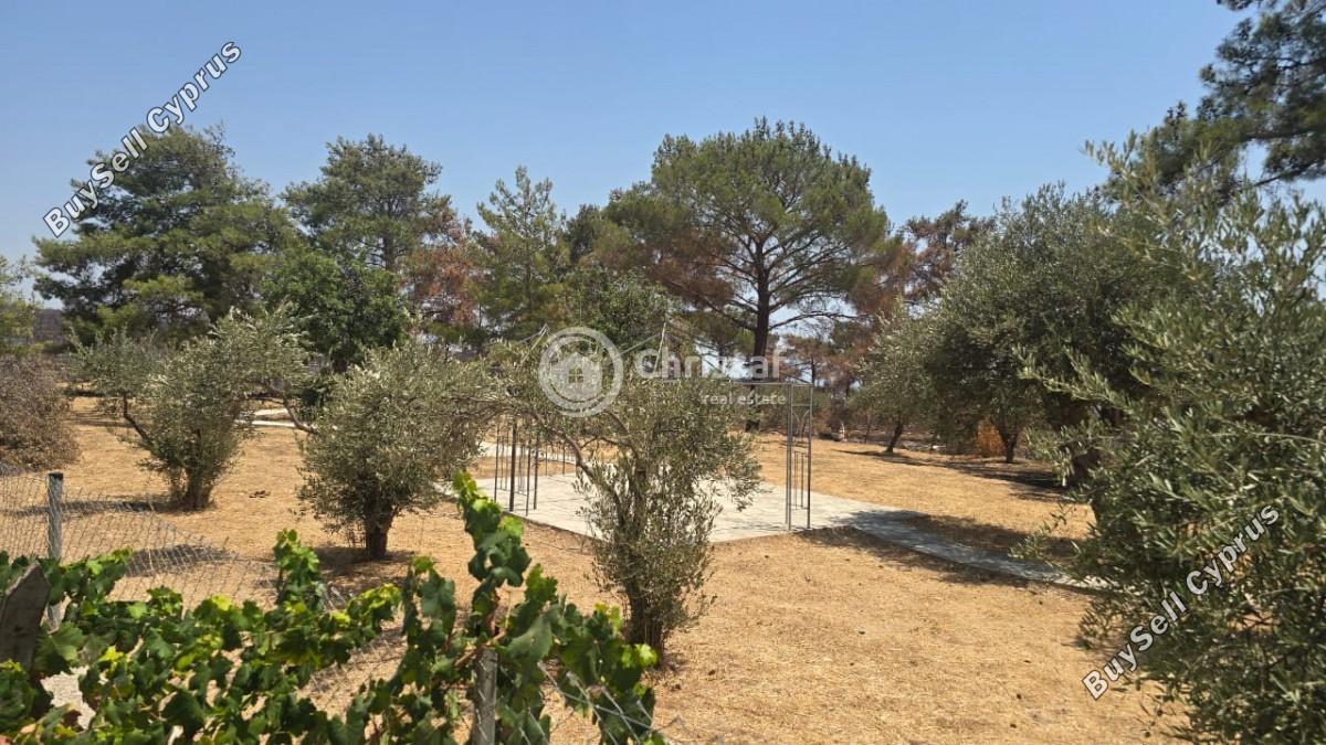 3 bedroom detached house for sale souni zanakia limassol 1927133 image 12393181