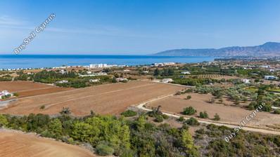 4 bedroom bungalow for sale latsi paphos 8560133 image 15730377
