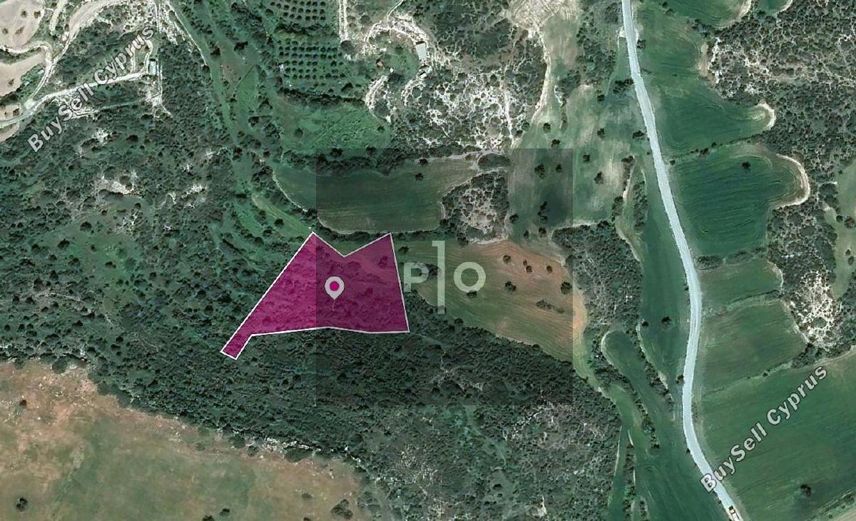 land for sale agios theodoros larnacas larnaca 8275133 image 15740628