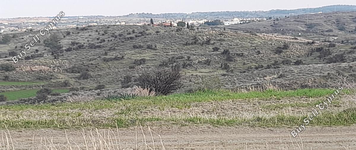 land for sale mitsero nicosia 1589133 image 16176784