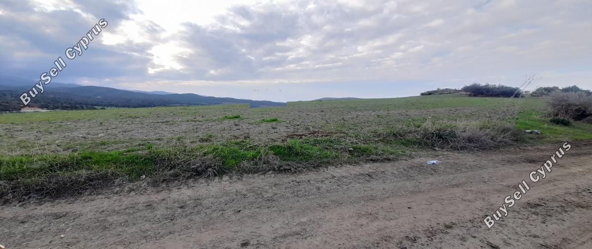 land for sale mitsero nicosia 1589133 image 16176791
