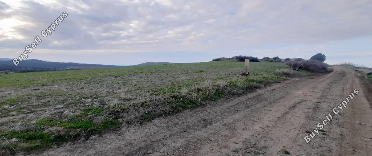 land for sale mitsero nicosia 1589133 image 16176792