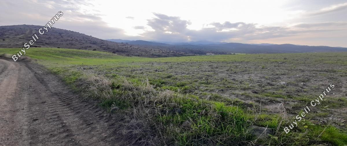 land for sale mitsero nicosia 1589133 image 16176793