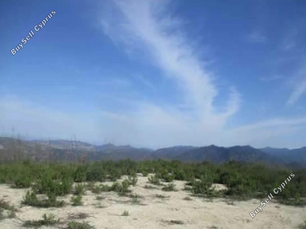 land for sale statos agios fotios paphos 1648133 image 15598218