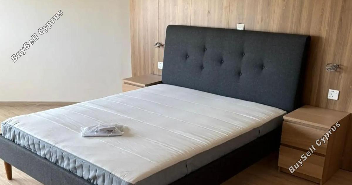 2 bedroom apartment for rent mesa gitonia limassol 8468233 image 15251214