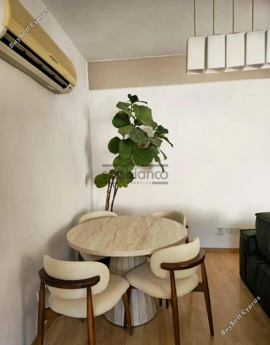 2 bedroom apartment for rent strovolos nicosia 8749233 image 16474014