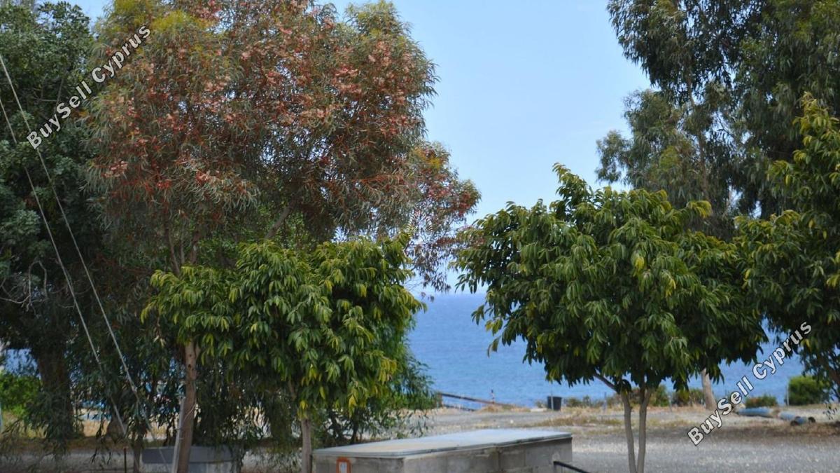5 bedroom detached house for rent governors beach limassol 1075233 image 14916927