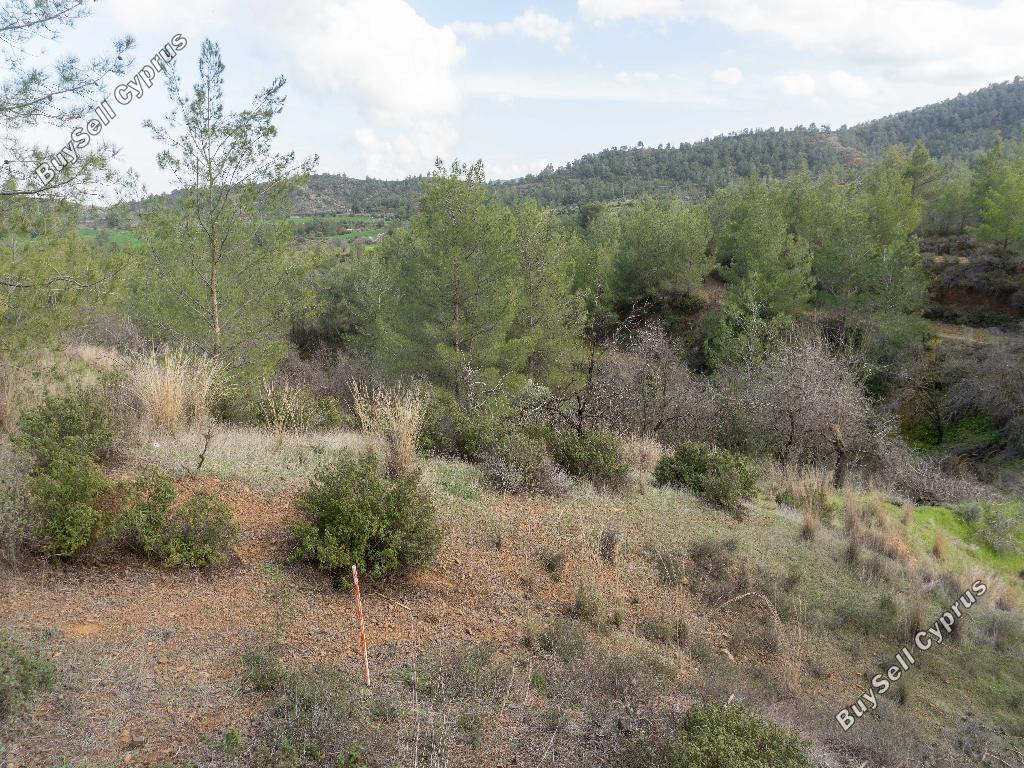land for sale klirou nicosia 1037233 image 15600625
