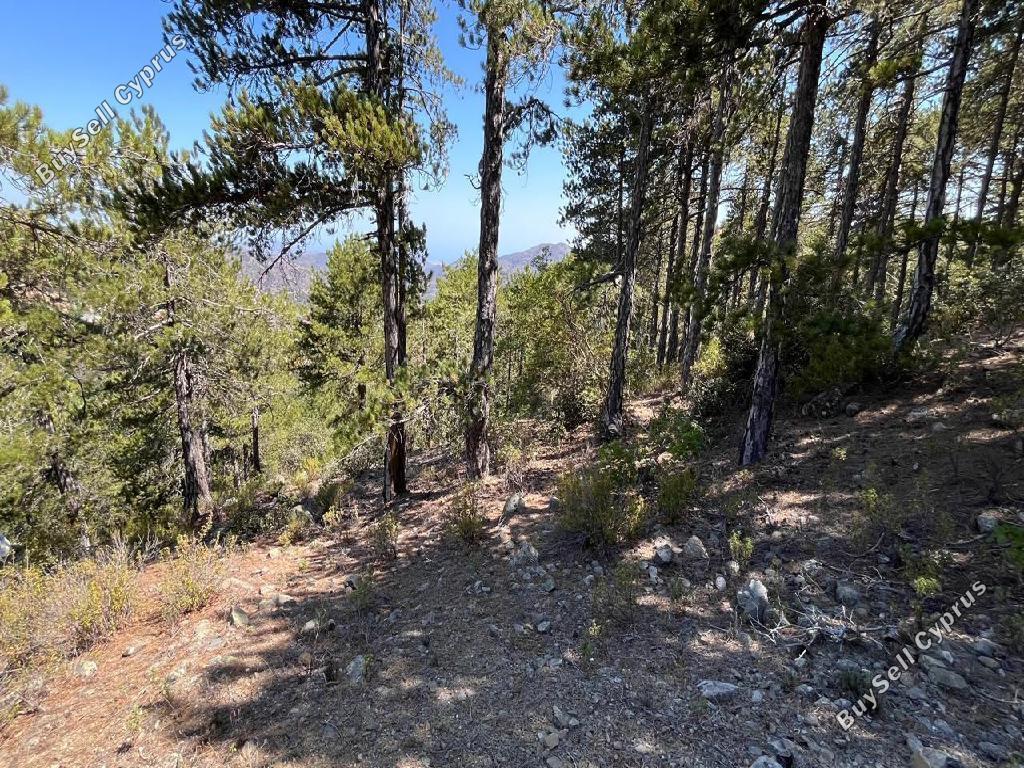 land for sale pedoulas nicosia 8140333 image 13391725