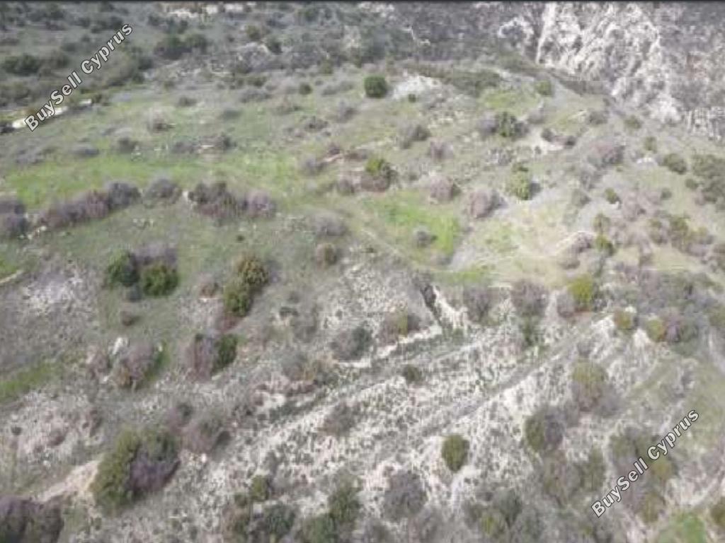 land for sale episkopi pafou paphos 8106433 image 15596105