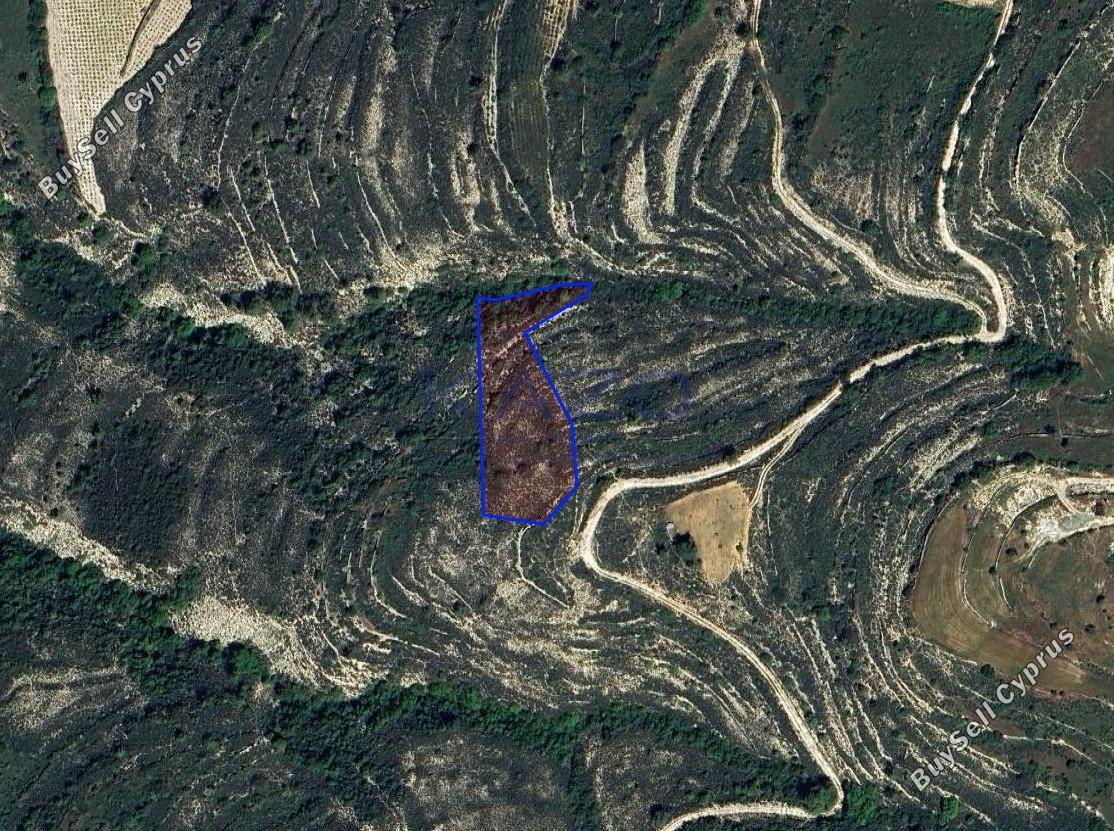 3679 SQM Land for sale in Lofou, Limassol 16205377