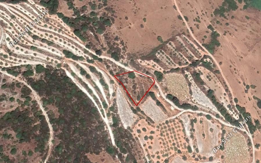 1896 SQM Land for sale in Kallepeia, Paphos 16685624
