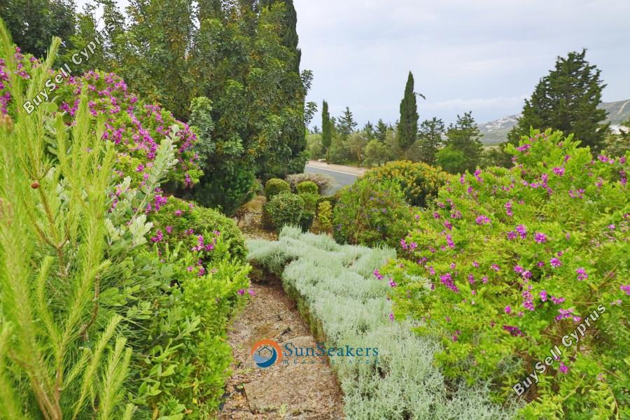 3 bedroom detached house for sale tsada paphos 8587533 image 16611202