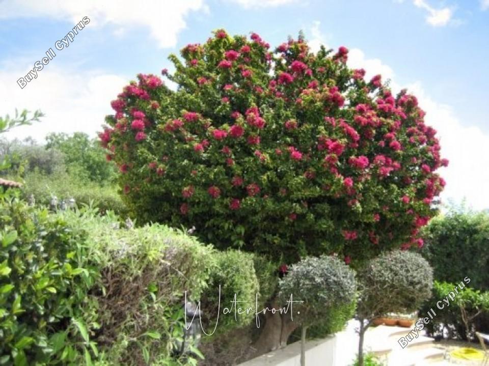 5 bedroom detached house for sale kato paphos paphos 8959533 image 17782395