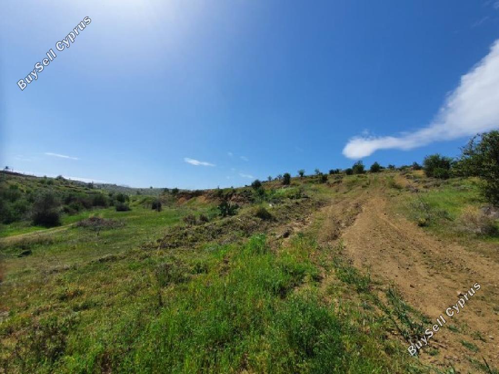 land for sale agrokipia nicosia 8374533 image 14602967