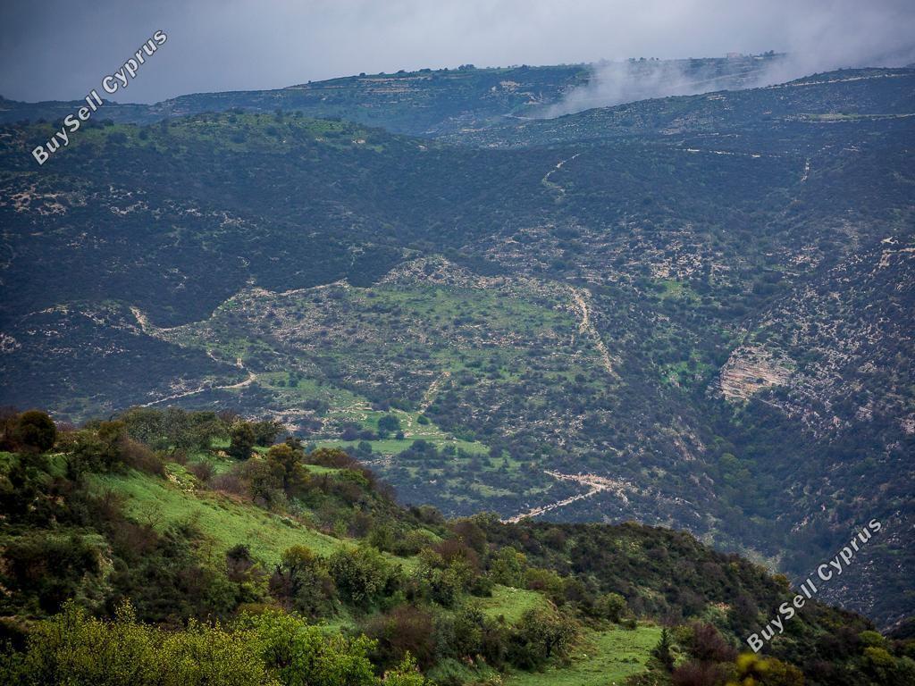 land for sale akoursos paphos 8628533 image 16717250
