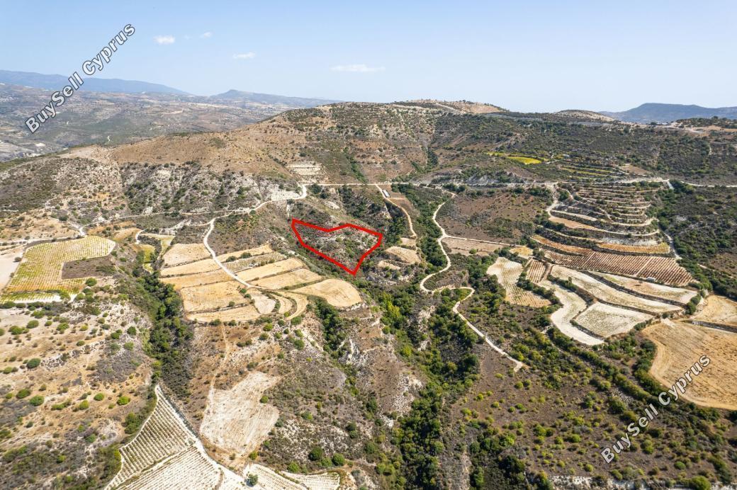 land for sale dora limassol 941533 image 15868828