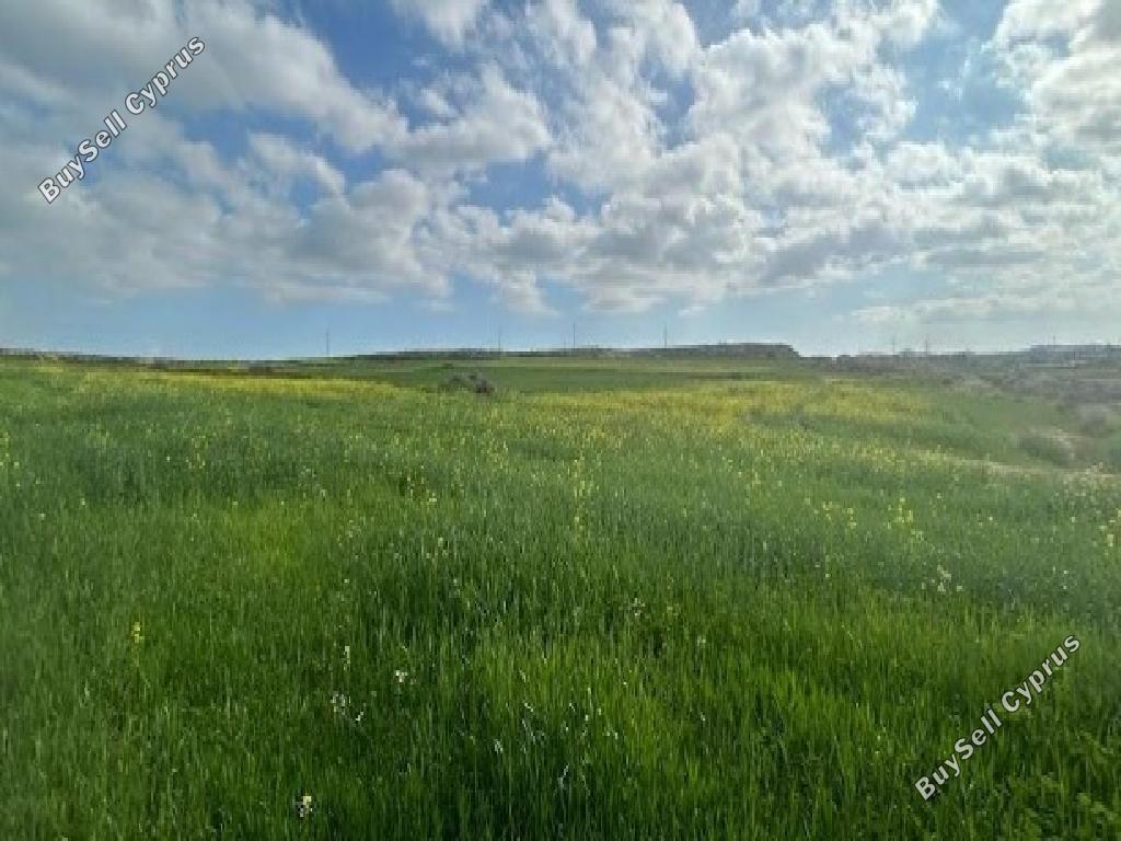 land for sale geri nicosia 7816533 image 17031633
