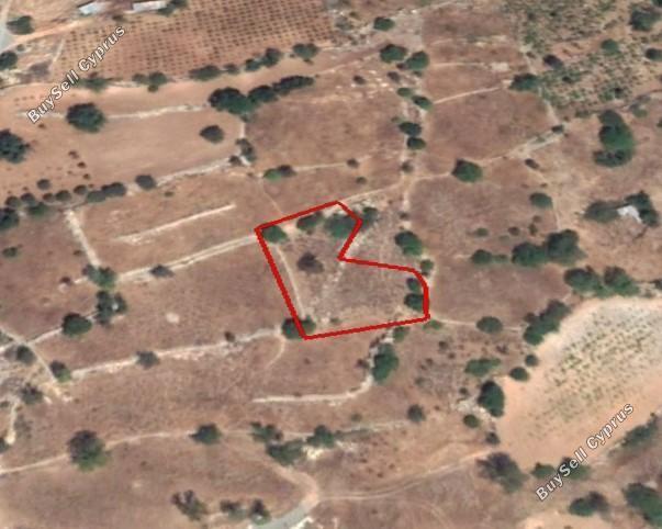 land for sale pachna limassol 1548533 image 5892917