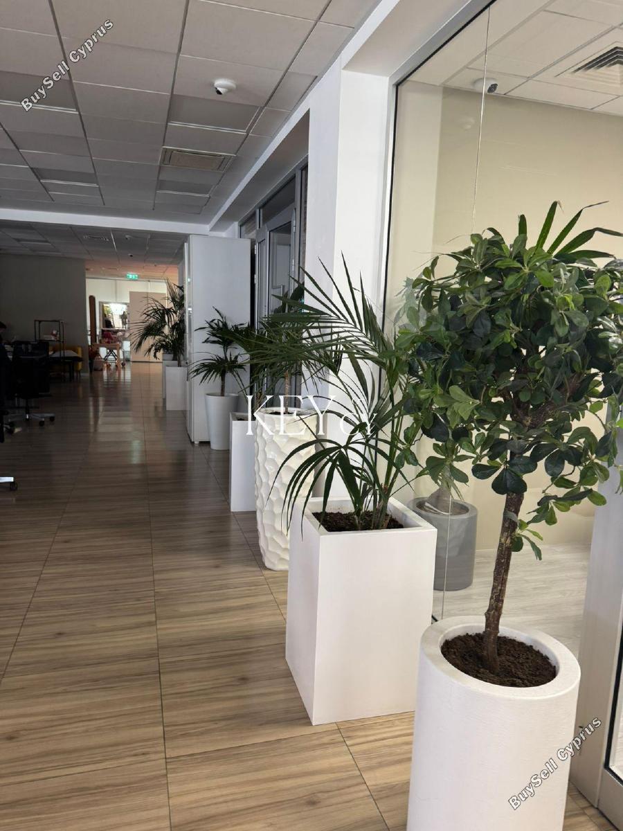 studio office for rent linopetra limassol 8890533 image 17320653