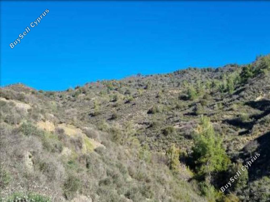 land for sale kalo chorio lemesou limassol 1868633 image 15597047