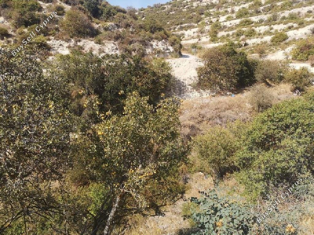 land for sale koilani limassol 826633 image 15600977