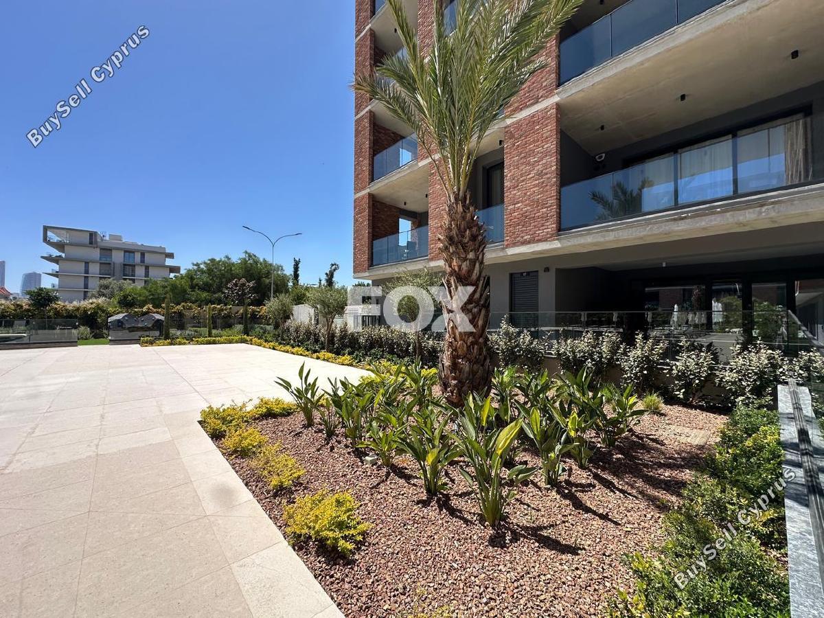 2 bedroom apartment for rent potamos germasogeias limassol 8570733 image 15634800