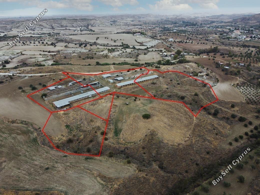 land for sale analiontas nicosia 1804733 image 13934179