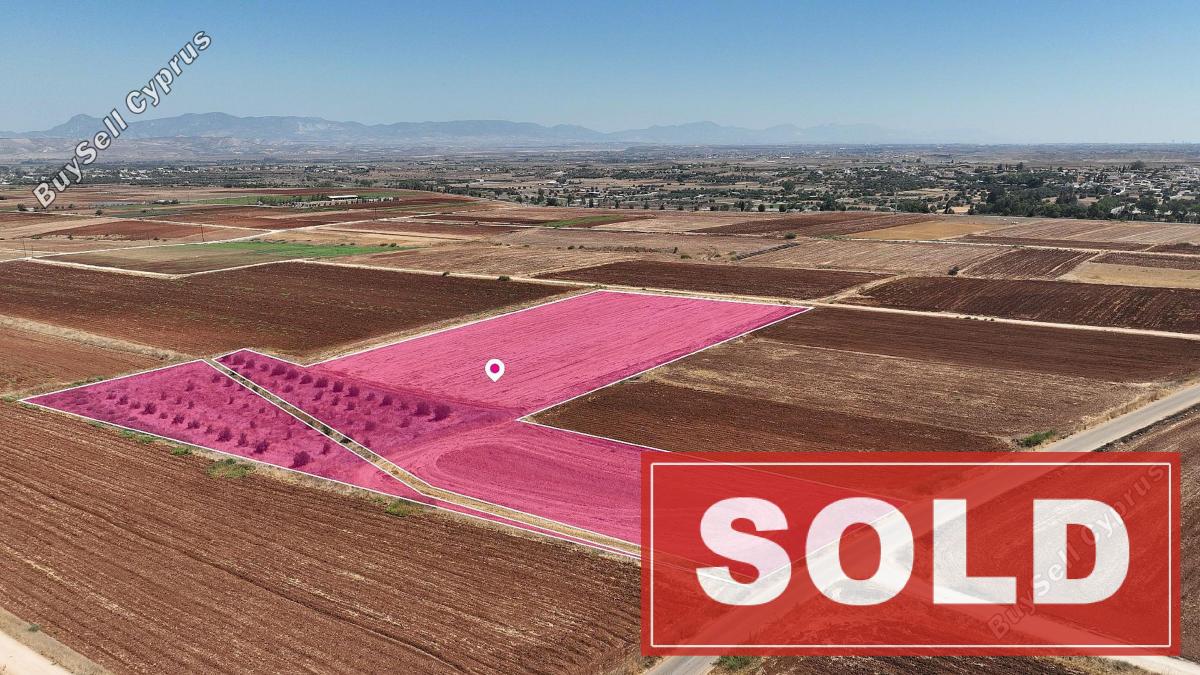 land sold orounta nicosia 1544733 image 3837004