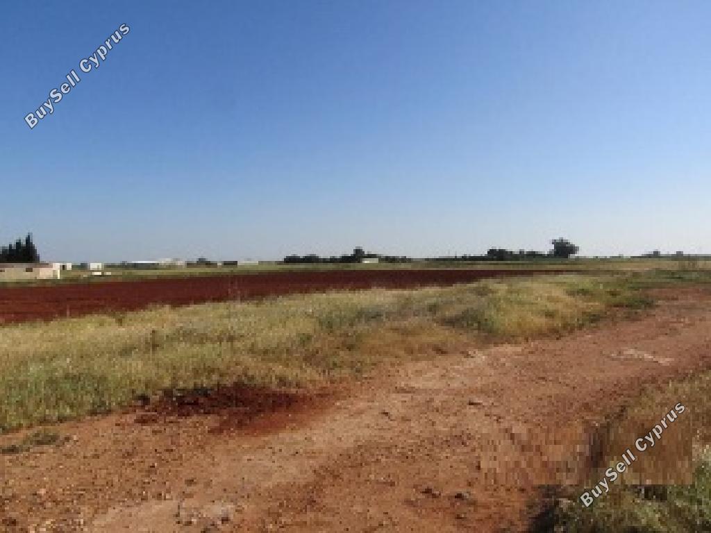 land for sale avgorou famagusta 8828833 image 16992603