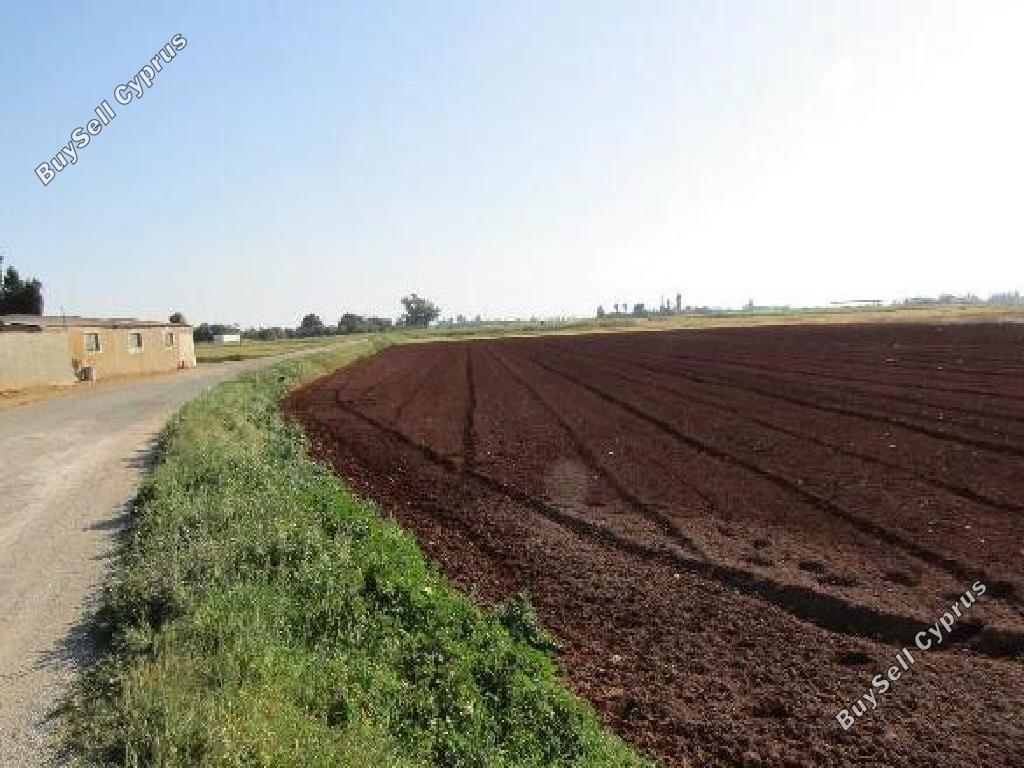 land for sale avgorou famagusta 8828833 image 16992604