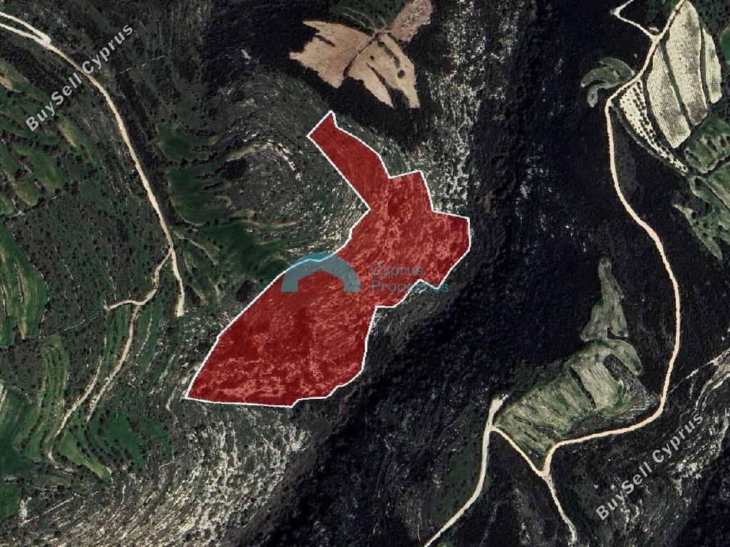 land for sale kritou tera paphos 7750833 image 16015631