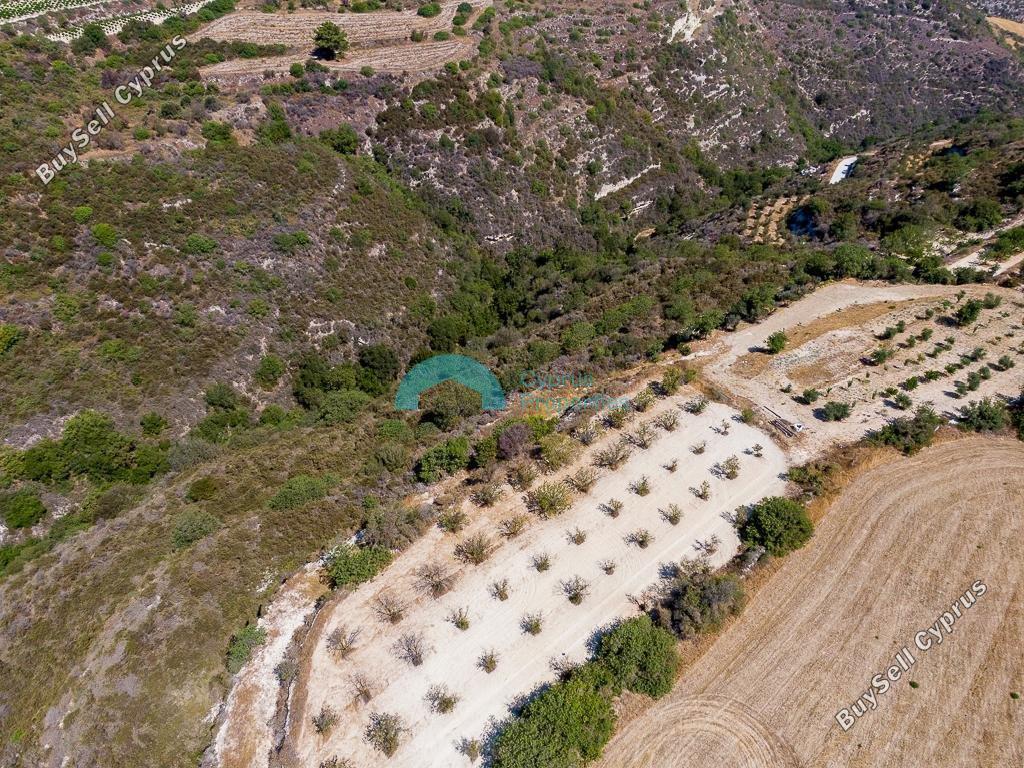 land for sale kritou tera paphos 7750833 image 16015641