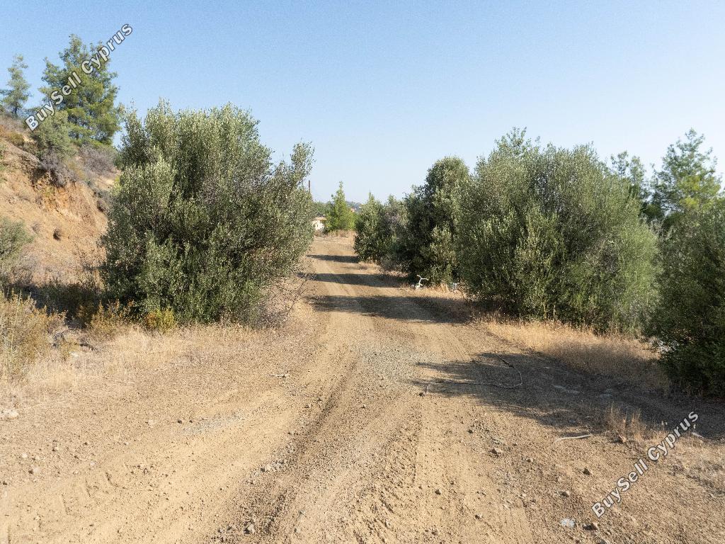 land for sale lythrodontas nicosia 8897833 image 17352694
