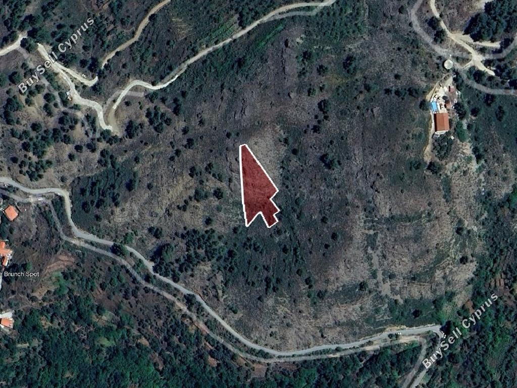 land for sale platanistasa nicosia 8003833 image 12747020