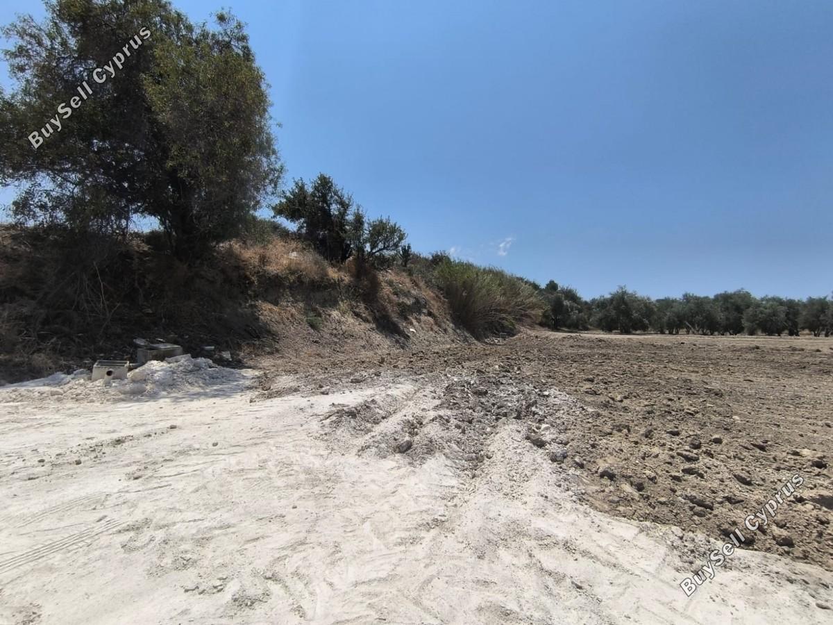 land for sale prodromi paphos 8395833 image 16071424