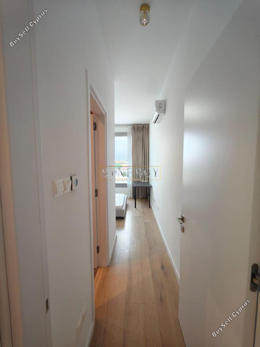 2 bedroom apartment for rent linopetra limassol 8821933 image 17119713