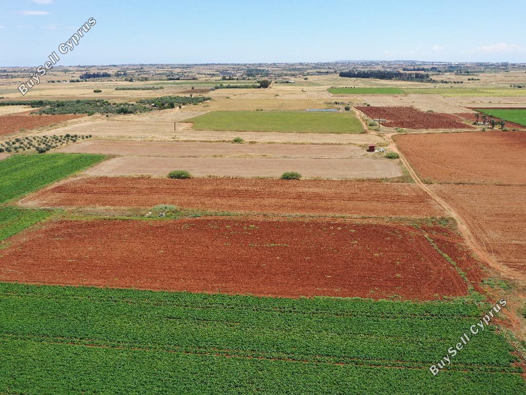 land for sale avgorou famagusta 822933 image 15601896