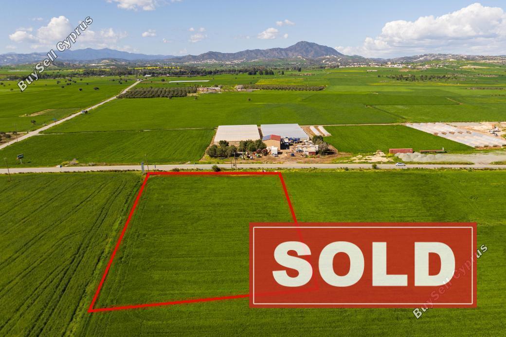 land sold softades larnaca 8301933 image 14083865