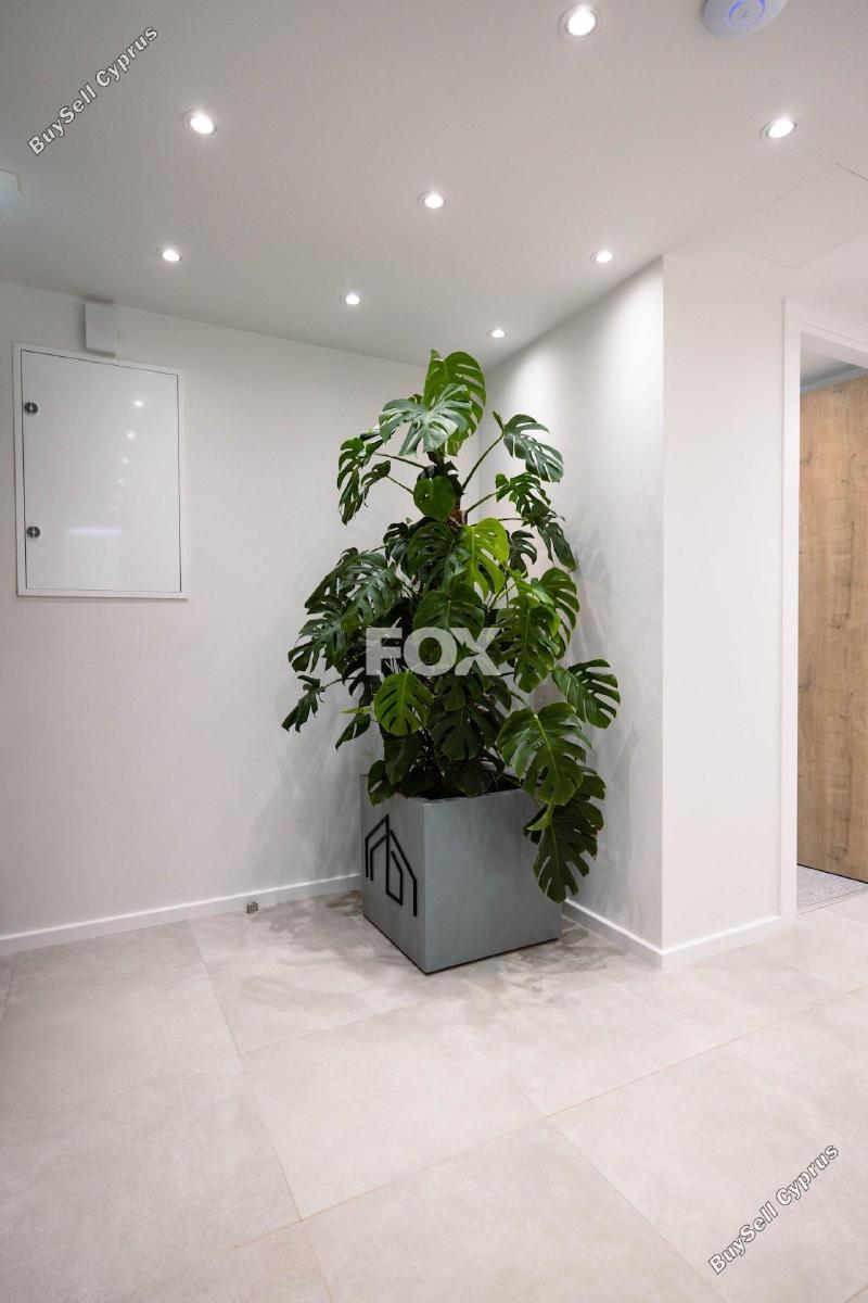 studio office for rent zakaki limassol 1593933 image 5646772