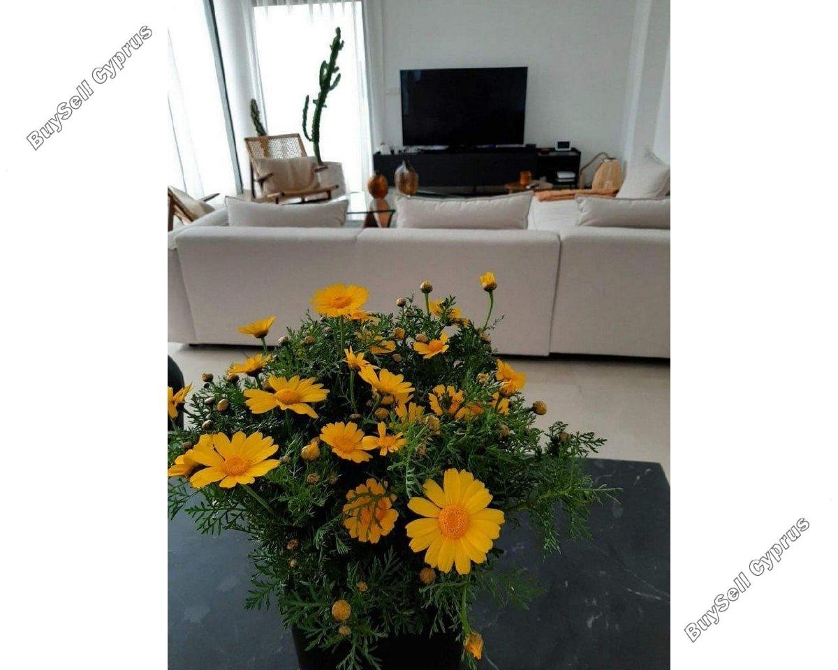 4 bedroom detached house for sale agios athanasios limassol 1587043 image 5341882