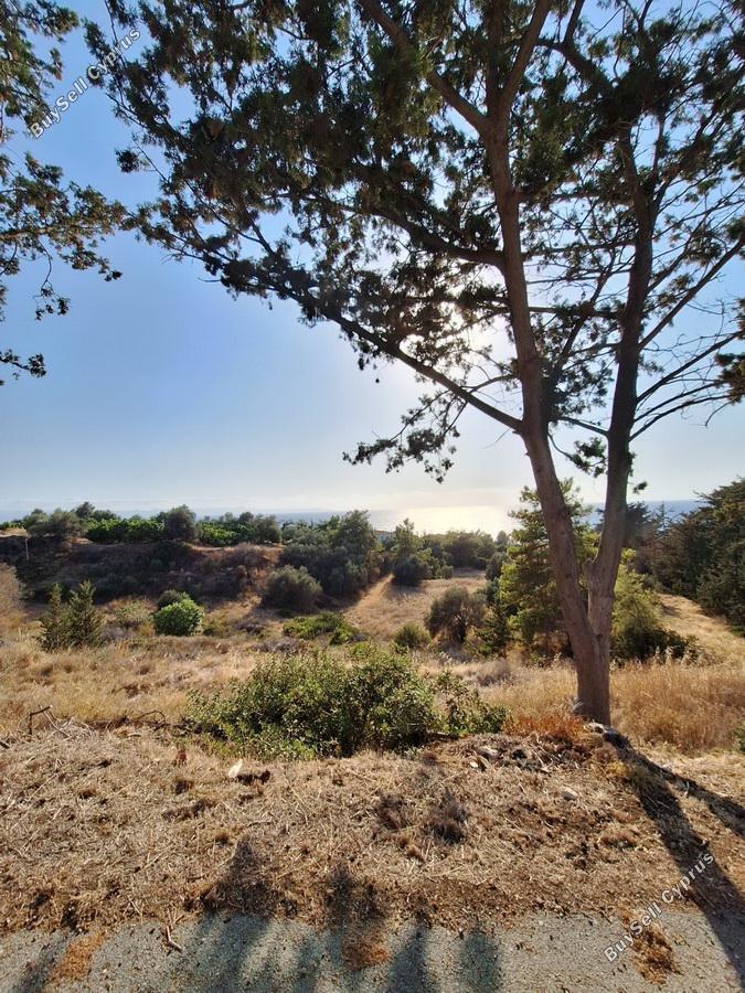 land for sale nea dimmata paphos 8957043 image 17771818