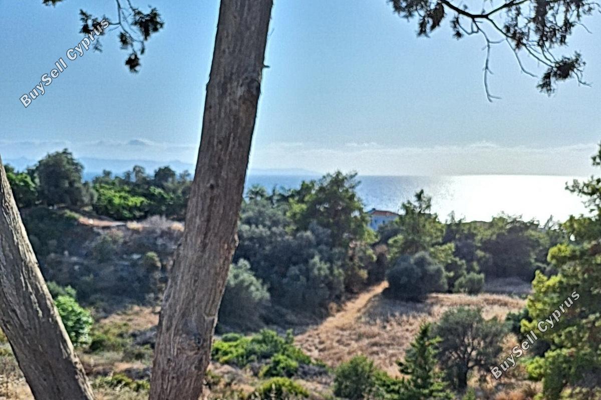 land for sale nea dimmata paphos 8957043 image 17771821