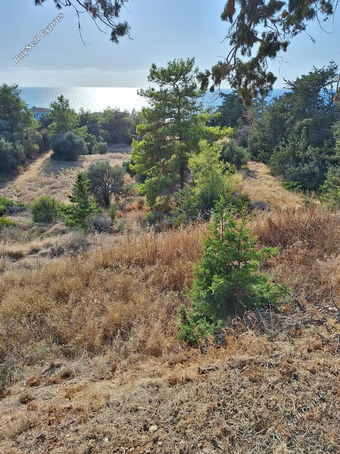 land for sale nea dimmata paphos 8957043 image 17771823