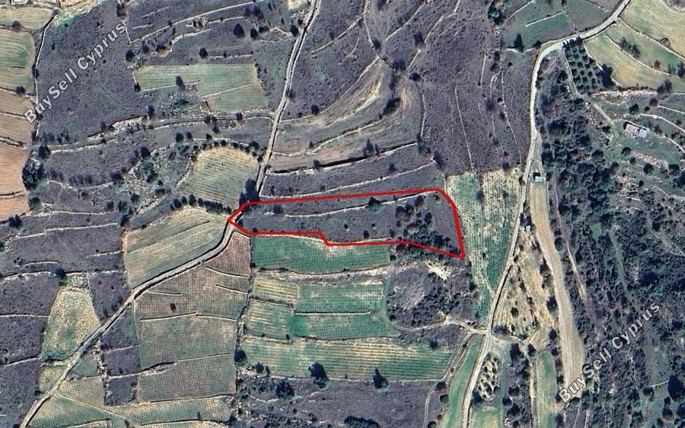 land for sale pachna limassol 829043 image 13387732