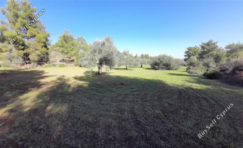 land for sale lythrodontas nicosia 1181143 image 16175922