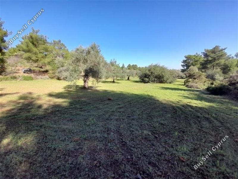land for sale lythrodontas nicosia 1181143 image 16175925