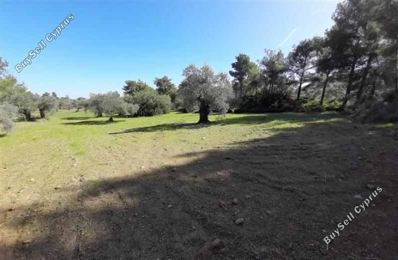 land for sale lythrodontas nicosia 1181143 image 16175926