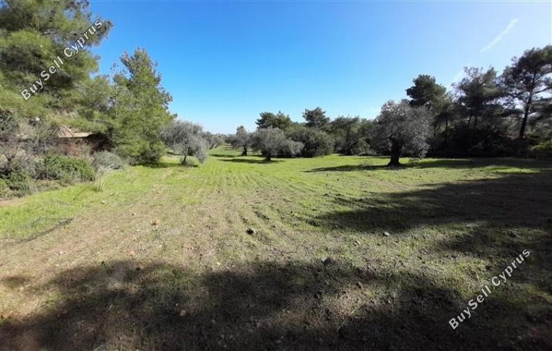 land for sale lythrodontas nicosia 1181143 image 16175927