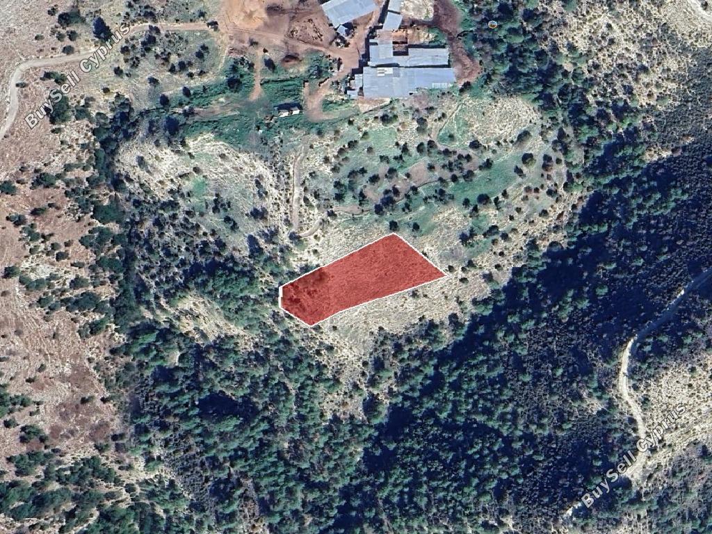 land for sale mousere paphos 1279143 image 15600370